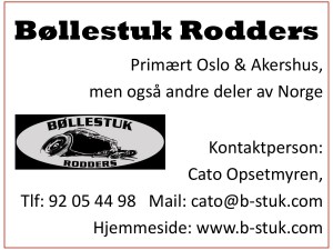 Bøllestuk Rodders